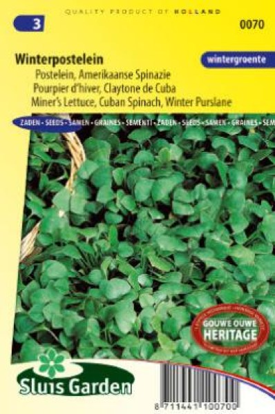 portulak, portulaka, purslane, šrucha, semená portulaky, semená portulaka, zimná portulaka, zimný portulak,